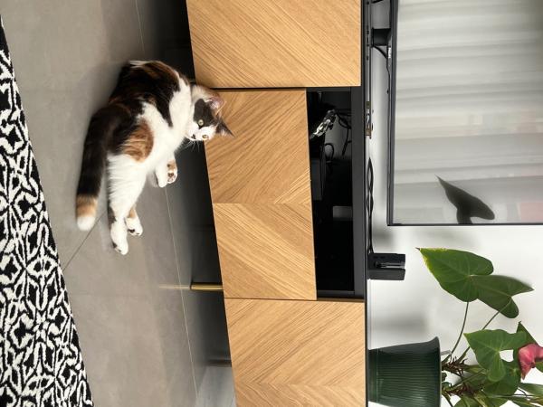 Photo du logement