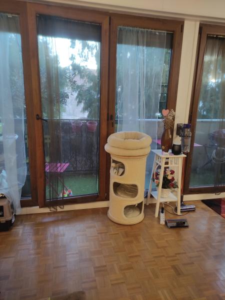 Photo du logement