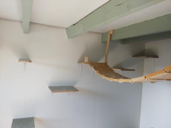 Photo du logement