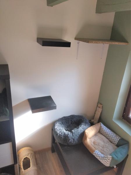 Photo du logement
