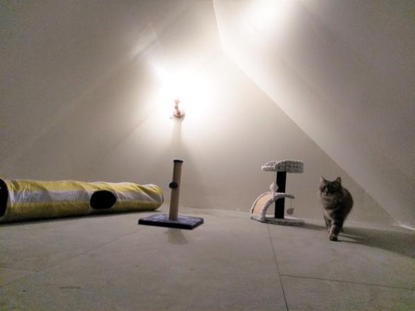 Photo du logement