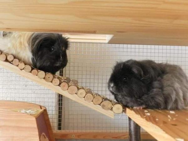 Photo du logement
