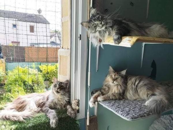 Photo du logement