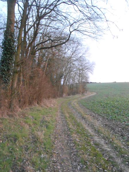 Photo du logement