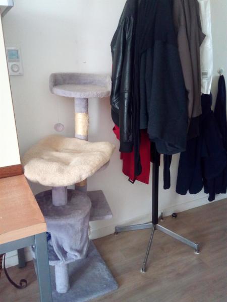 Photo du logement