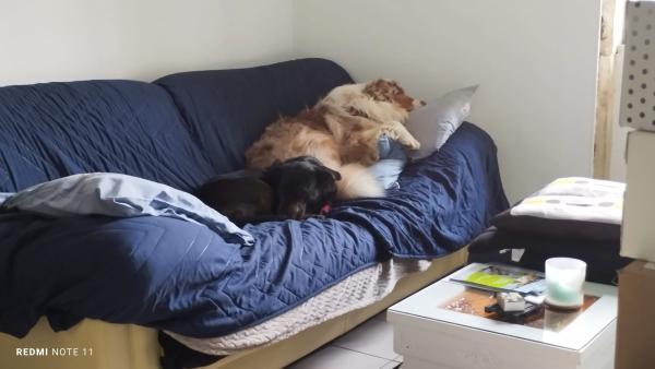 Photo du logement