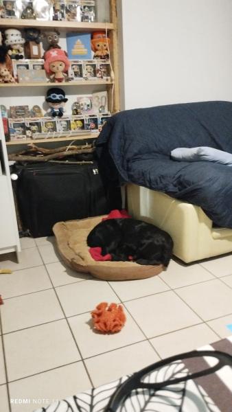 Photo du logement