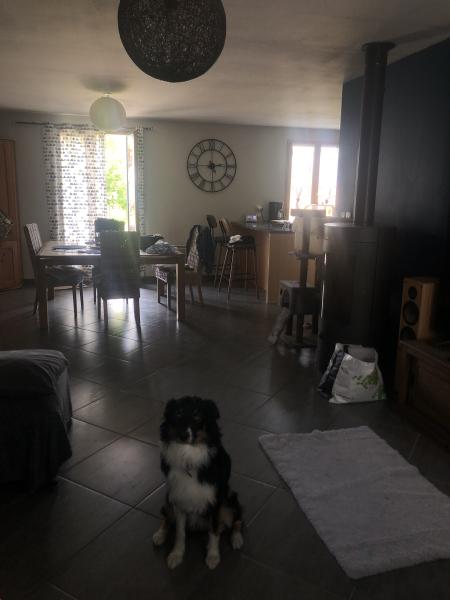 Photo du logement