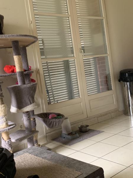 Photo du logement