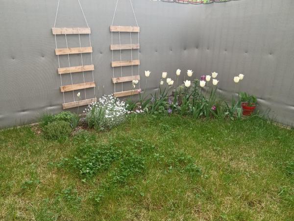 Photo du logement