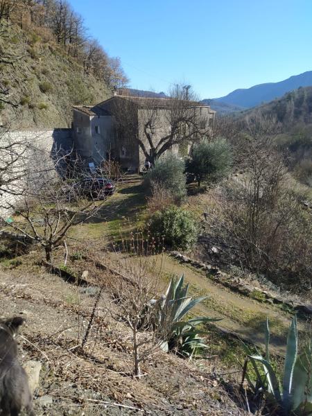 Photo du logement