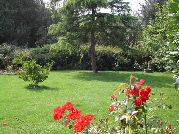 Photo du logement