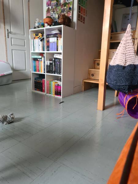 Photo du logement