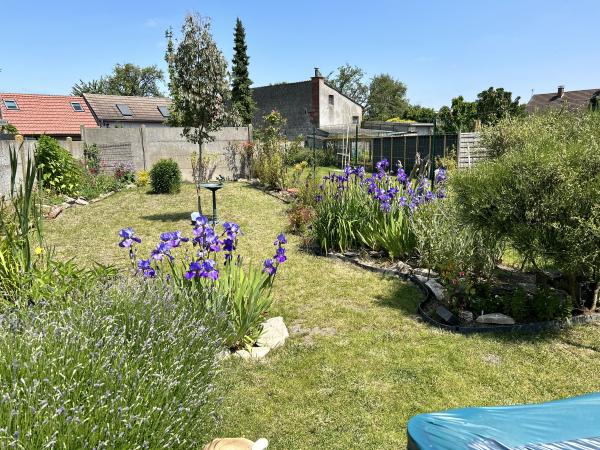 Photo du logement