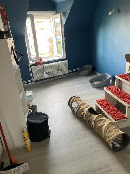 Photo du logement