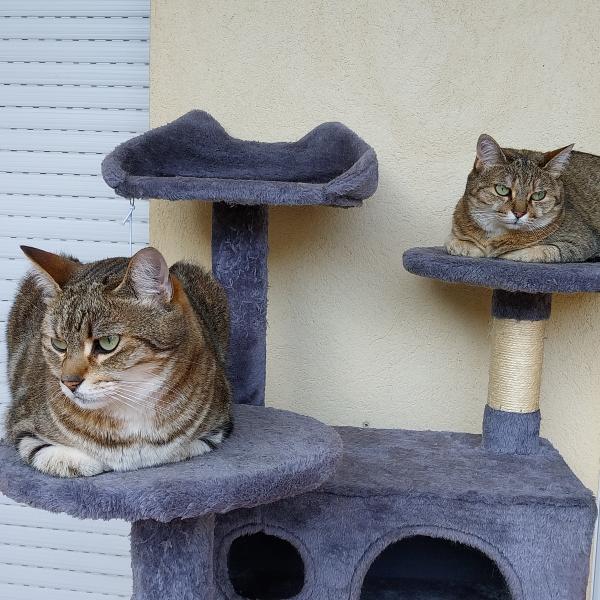 Photo du logement