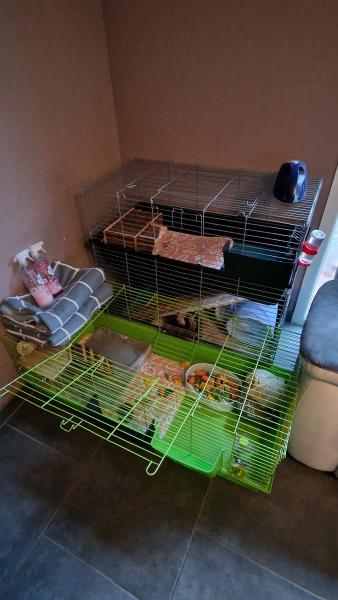 Photo du logement