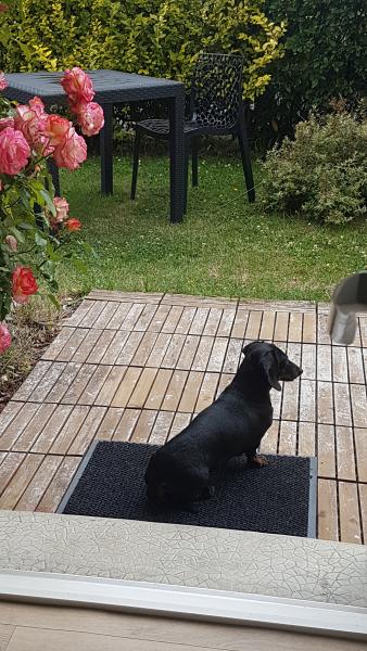 Photo du logement