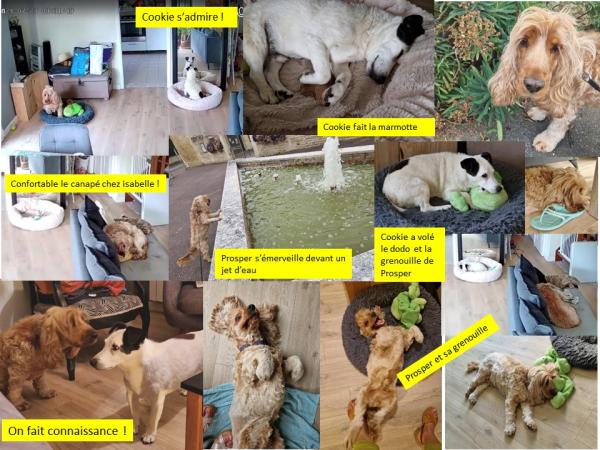 Photo du logement