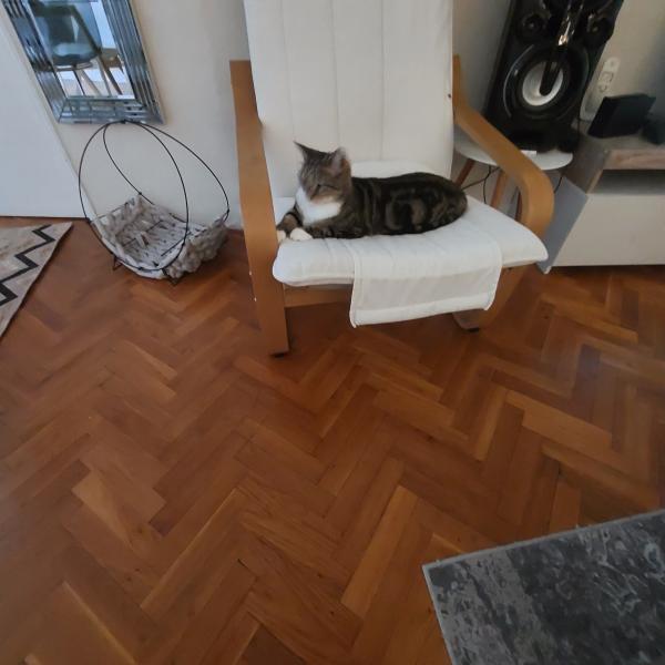 Photo du logement
