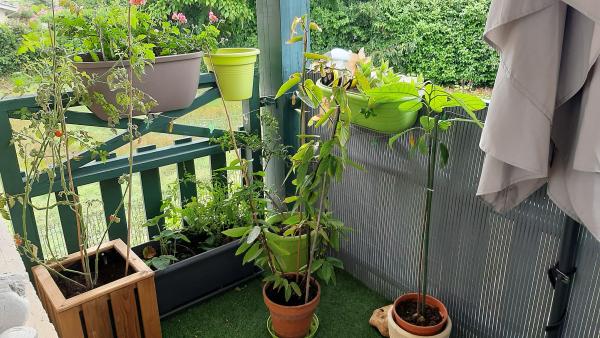 Photo du logement