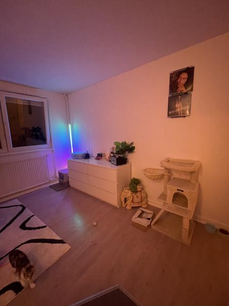 Photo du logement