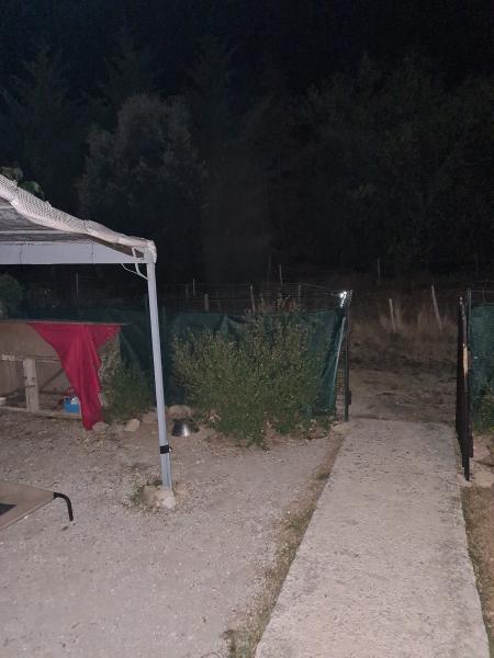 Photo du logement