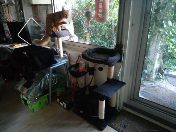 Photo du logement
