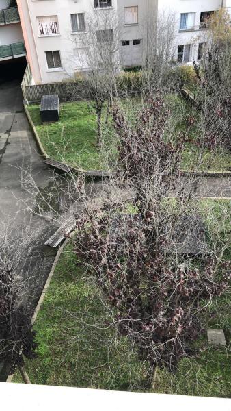 Photo du logement
