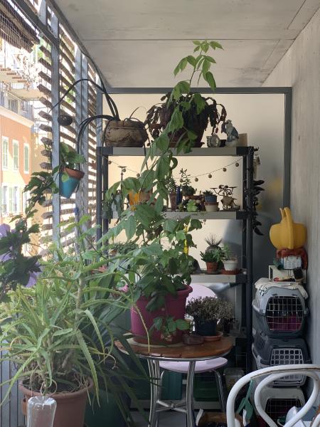 Photo du logement