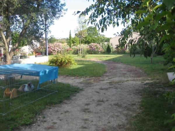 Photo du logement