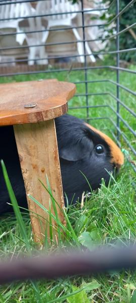 Photo du logement