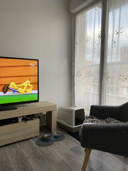 Photo du logement
