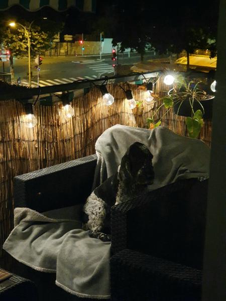 Photo du logement