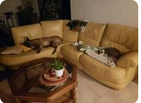 Photo du logement