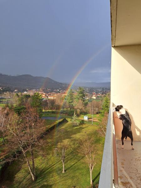 Photo du logement
