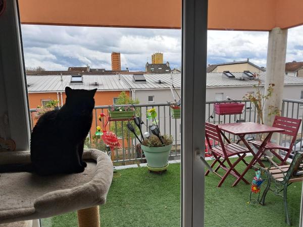 Photo du logement