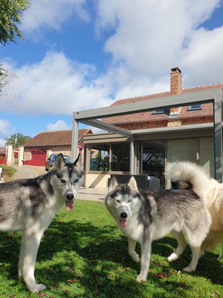 Photo du logement