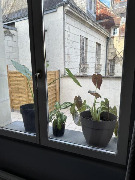 Photo du logement