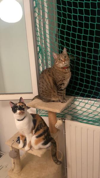 Photo du logement