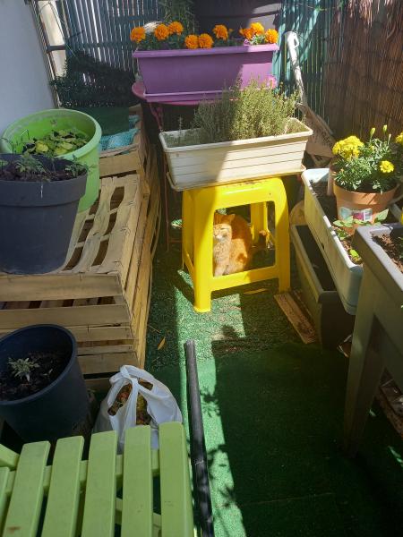 Photo du logement
