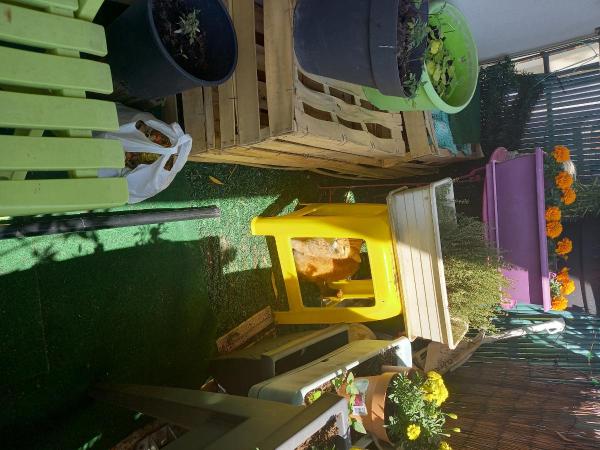 Photo du logement