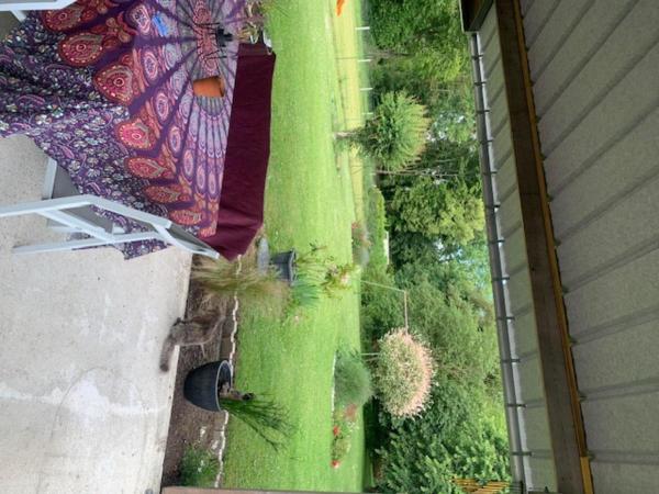 Photo du logement