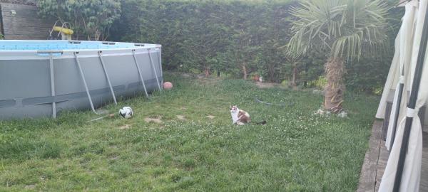 Photo du logement