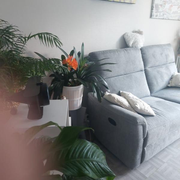 Photo du logement