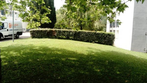 Photo du logement
