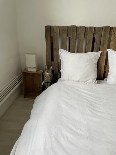 Photo du logement