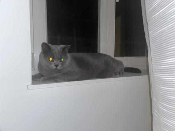 Photo du logement