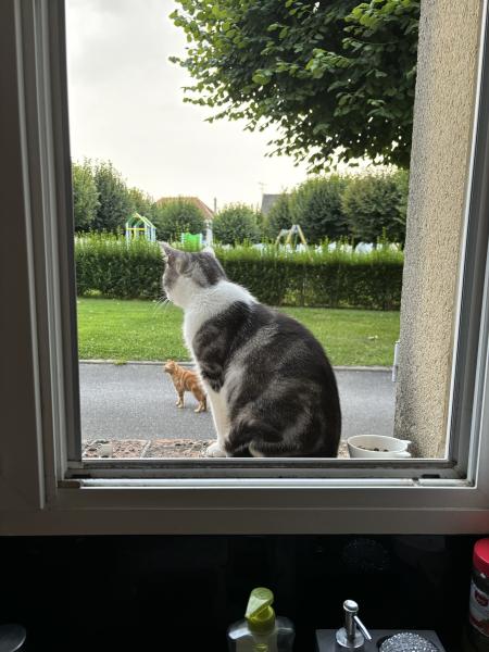 Photo du logement