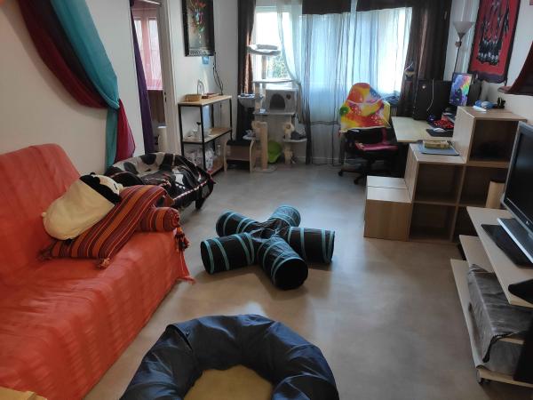 Photo du logement